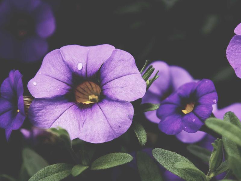 feedback screenshot 3